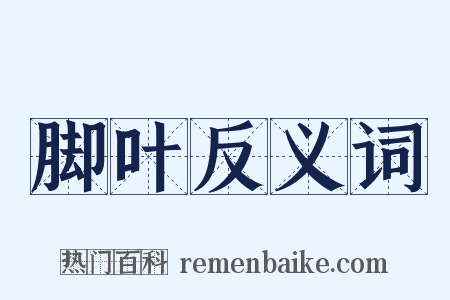 脚叶反义词是什么意思的图片